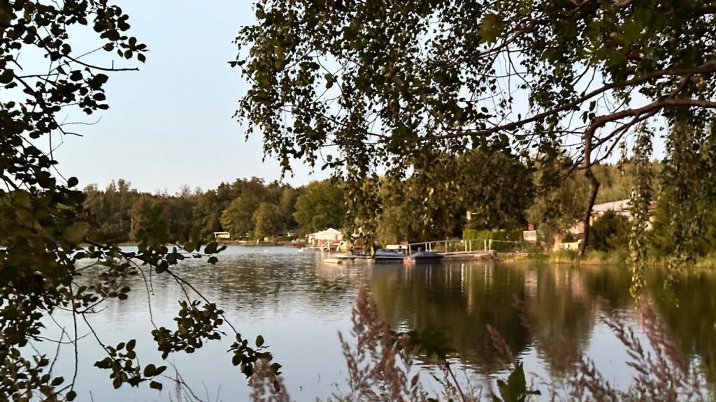 Teichblick